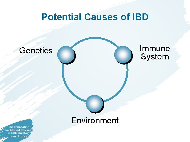 Potential Causes of IBD Immune System Genetics Environment Potential Causes of IBD Immune System Genetics Environment