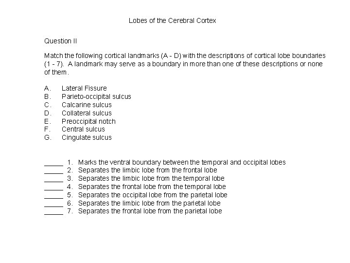 Lobes of the Cerebral Cortex Question II Match the following cortical landmarks (A -