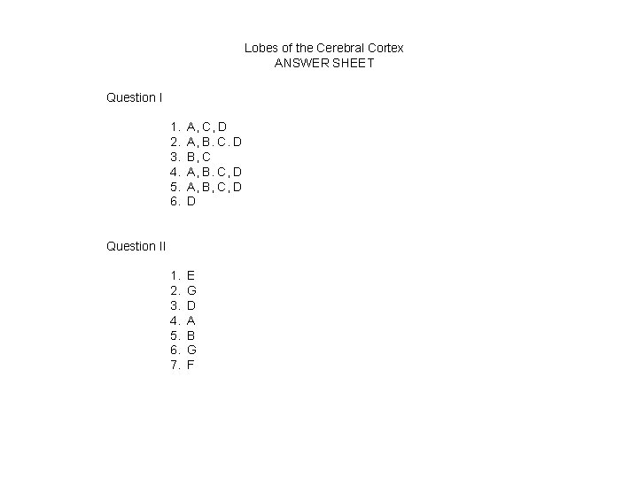 Lobes of the Cerebral Cortex ANSWER SHEET Question I 1. 2. 3. 4. 5.
