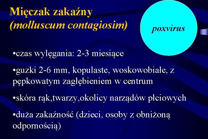 Mięczak zakaźny (molluscum contagiosim) poxvirus • czas wylęgania: 2 -3 miesiące • guzki 2