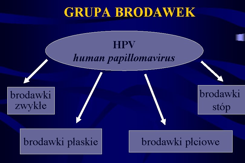 GRUPA BRODAWEK HPV human papillomavirus brodawki zwykłe brodawki płaskie brodawki stóp brodawki płciowe 