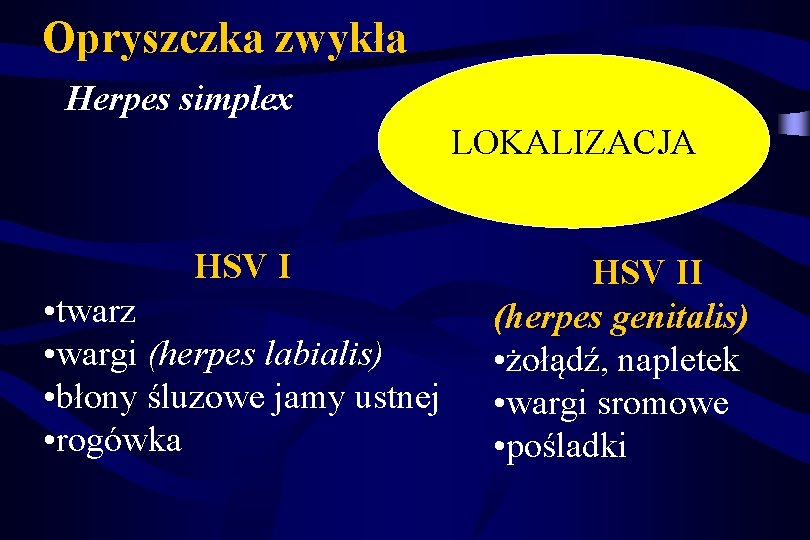 Opryszczka zwykła Herpes simplex LOKALIZACJA HSV I • twarz • wargi (herpes labialis) •