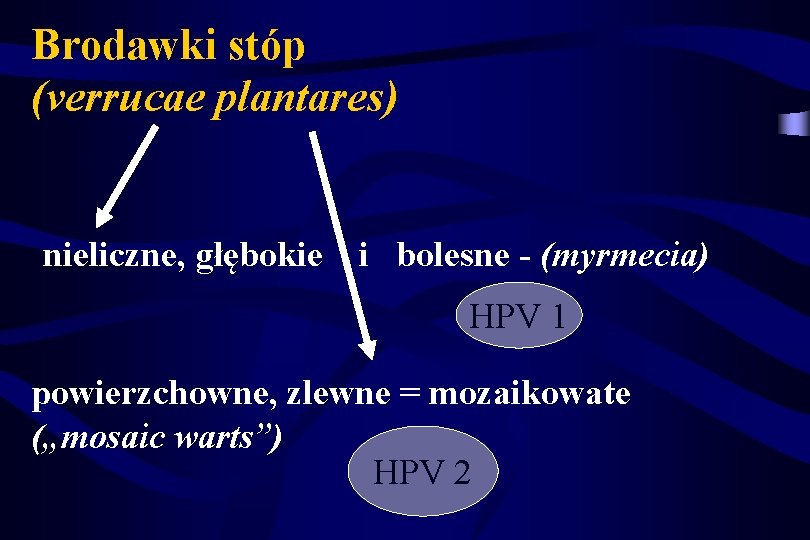 Brodawki stóp (verrucae plantares) nieliczne, głębokie i bolesne - (myrmecia) HPV 1 powierzchowne, zlewne