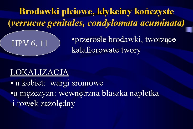 Brodawki płciowe, kłykciny kończyste (verrucae genitales, condylomata acuminata) HPV 6, 11 • przerosłe brodawki,