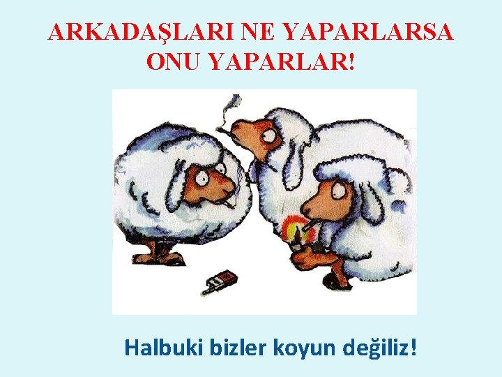 ARKADAŞLARI NE YAPARLARSA ONU YAPARLAR! Halbuki bizler koyun değiliz! 