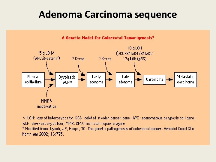 Adenoma Carcinoma sequence 