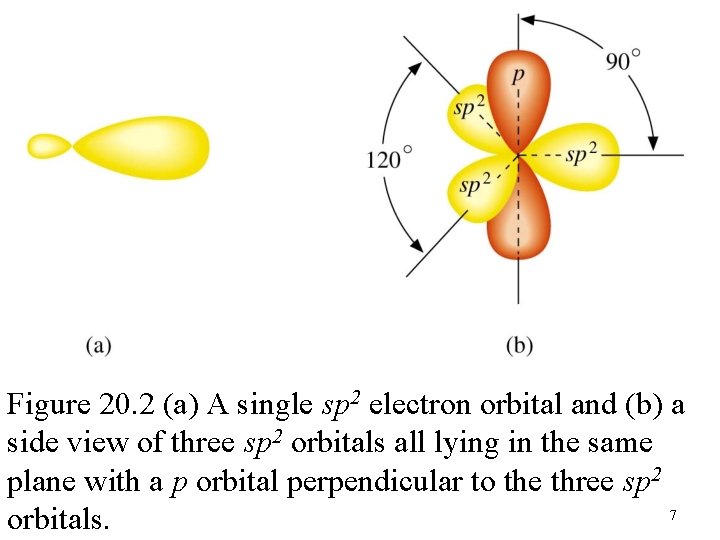 Figure 20. 2 (a) A single sp 2 electron orbital and (b) a side
