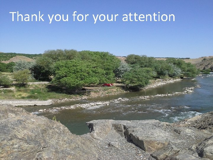 Thank you for your attention 