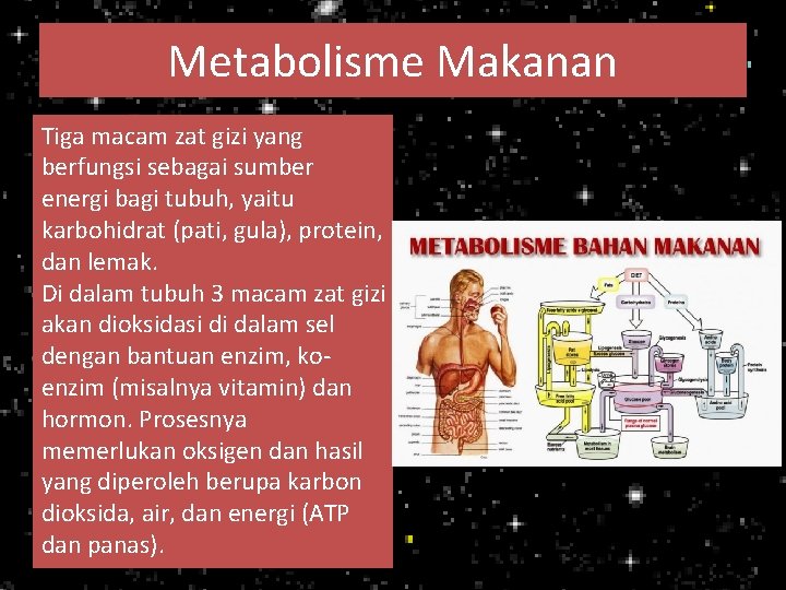 Metabolisme Makanan Tiga macam zat gizi yang berfungsi sebagai sumber energi bagi tubuh, yaitu