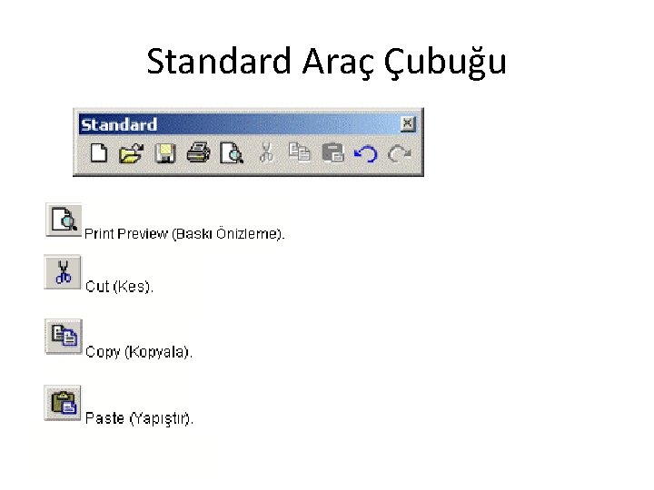 Standard Araç Çubuğu 