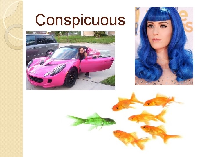 Conspicuous 