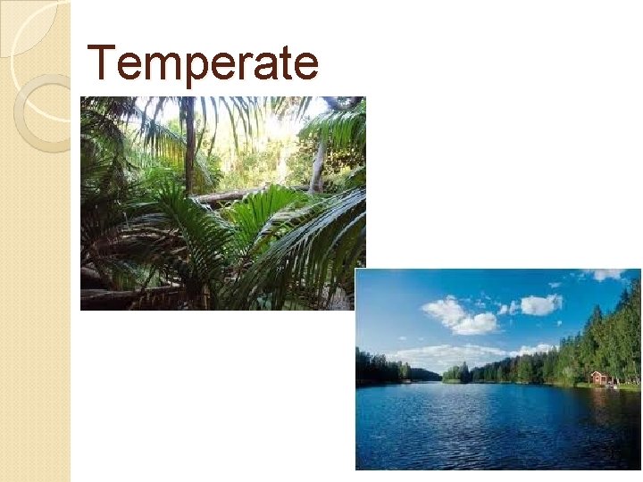 Temperate 