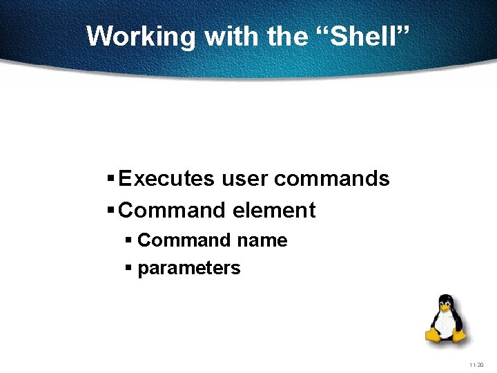 Working with the “Shell” § Executes user commands § Command element § Command name