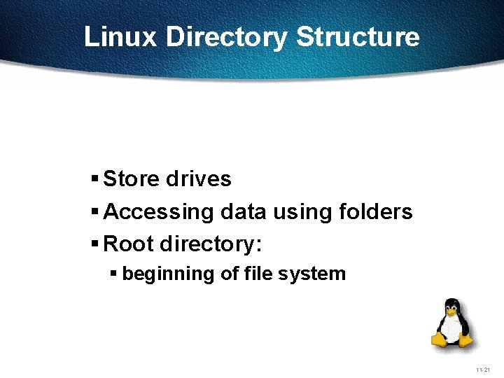 Linux Directory Structure § Store drives § Accessing data using folders § Root directory:
