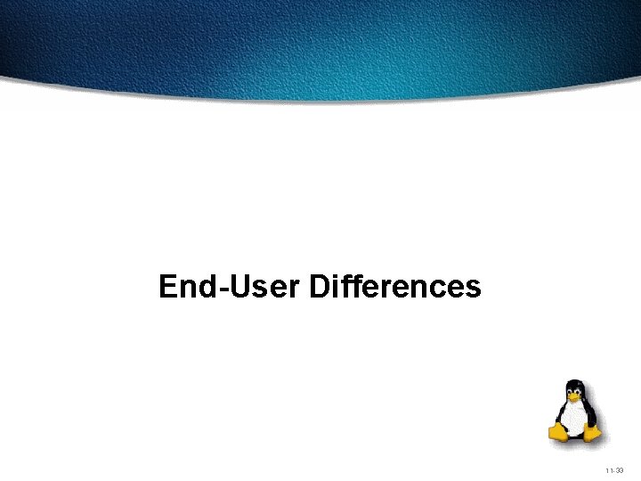 End-User Differences 11 -33 