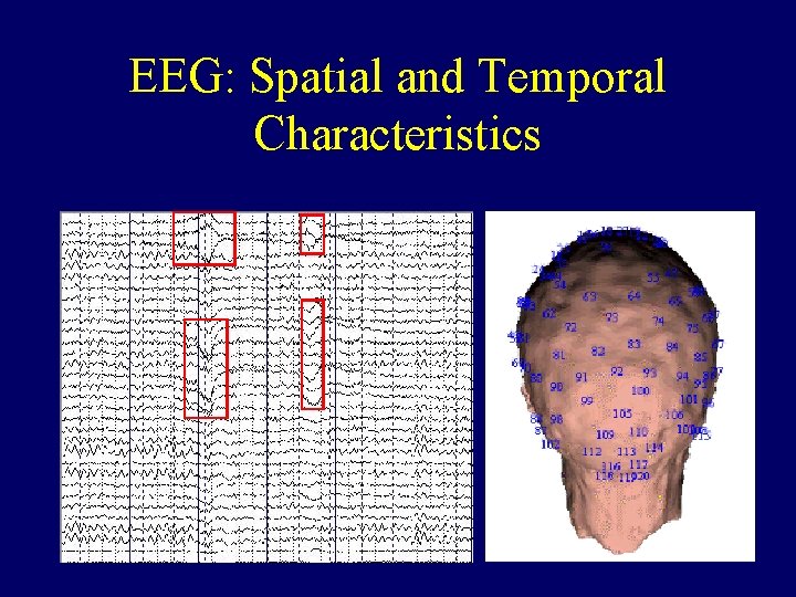 EEG: Spatial and Temporal Characteristics 