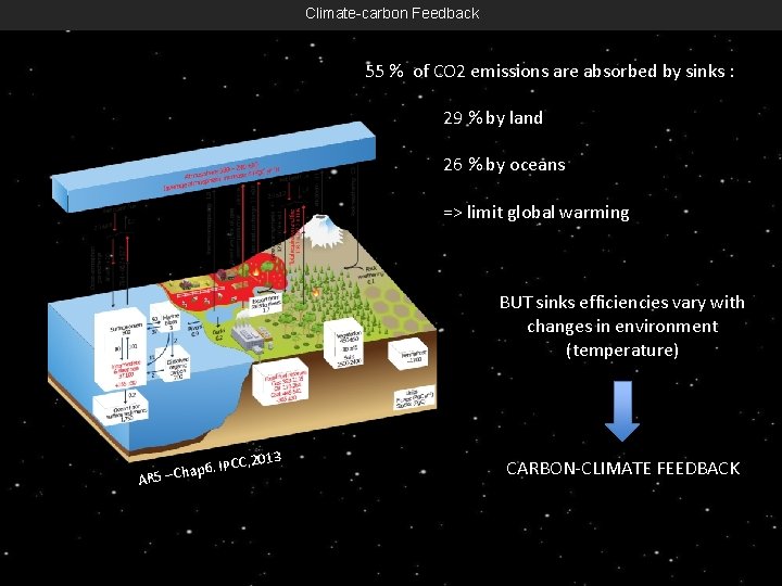 Climate-carbon Feedback 55 % of CO 2 emissions are absorbed by sinks : 29