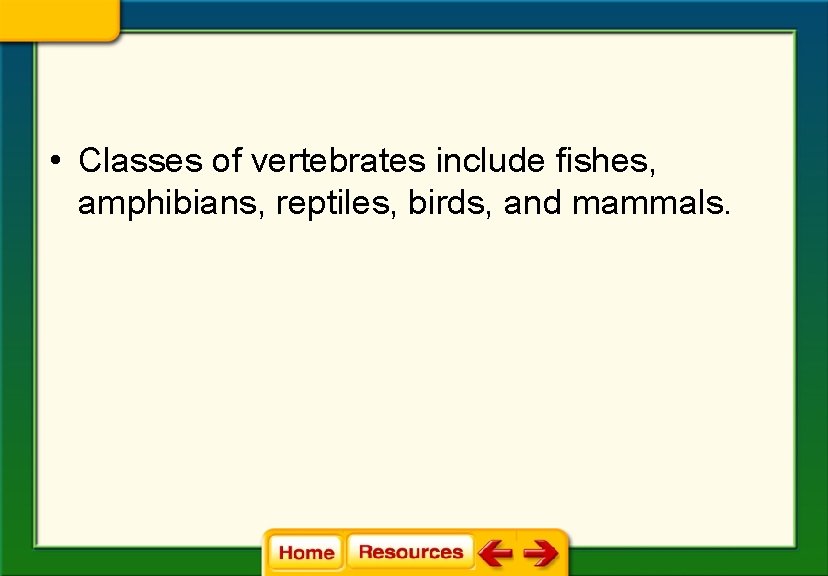 Classes of vertebrates include fishes amphibians reptiles birds