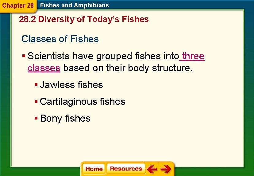 Chapter 28 Fishes and Amphibians 28. 2 Diversity of Today’s Fishes Classes of Fishes