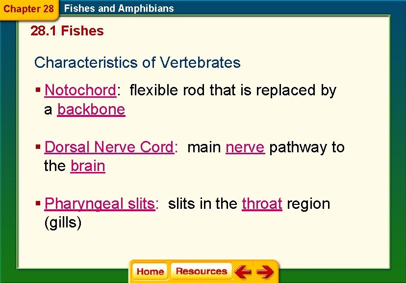 Classes of vertebrates include fishes amphibians reptiles birds