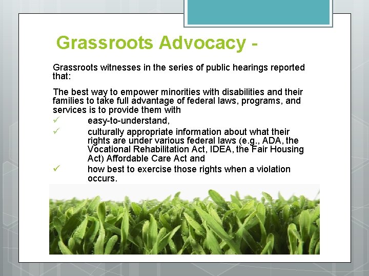 Grassroots Advocacy Grassroots witnesses in the series of public hearings reported that: The best