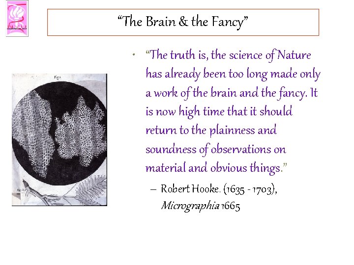 “The Brain & the Fancy” • “The truth is, the science of Nature has