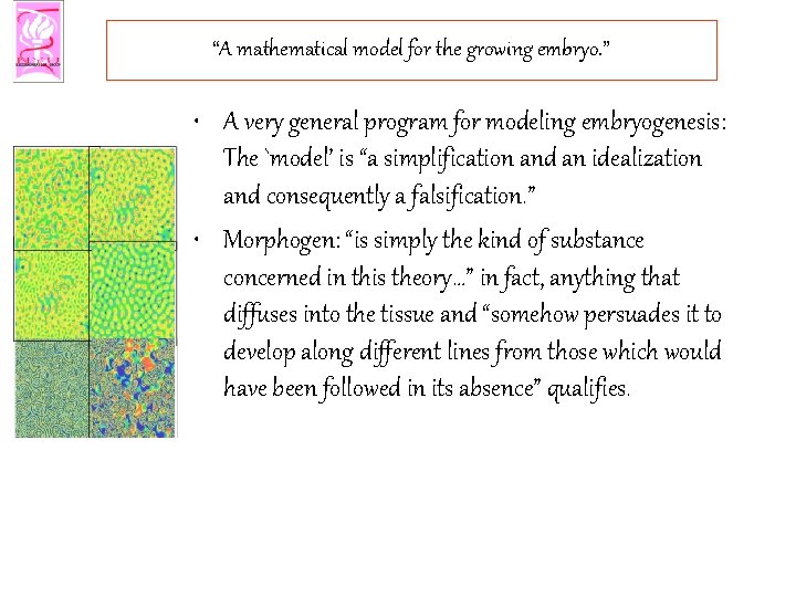 “A mathematical model for the growing embryo. ” • A very general program for