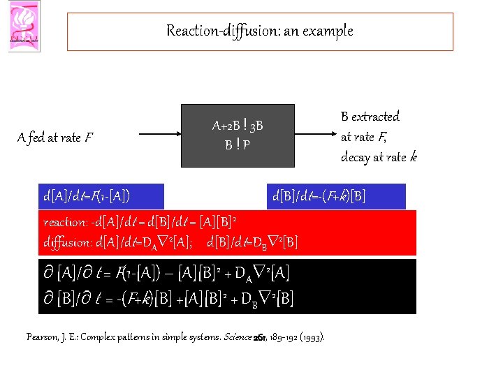 Reaction-diffusion: an example A fed at rate F d[A]/dt=F(1 -[A]) B extracted at rate