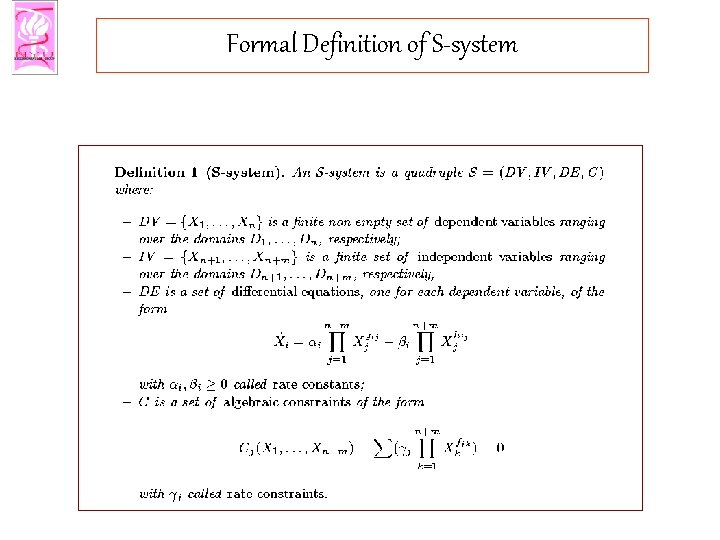 Formal Definition of S-system 