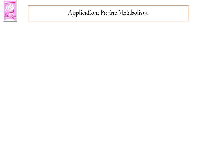 Application: Purine Metabolism 