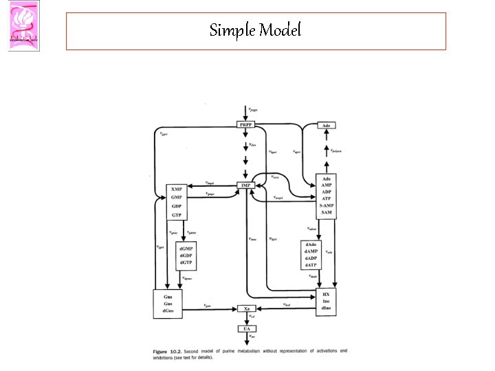 Simple Model 