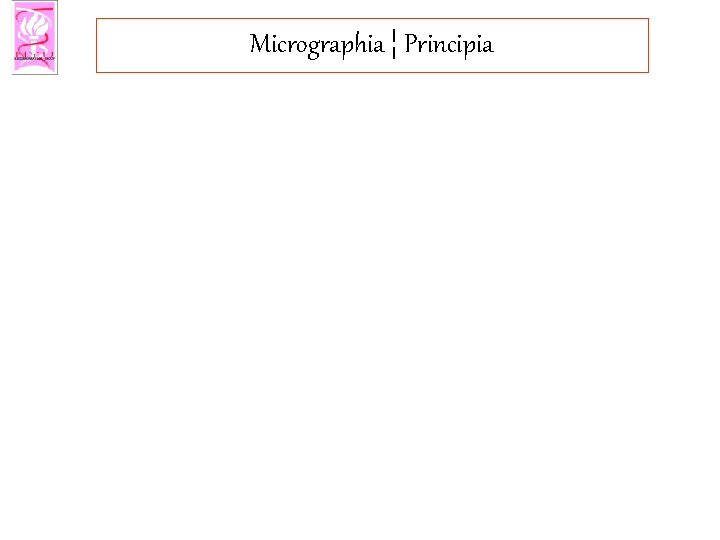 Micrographia ¦ Principia 