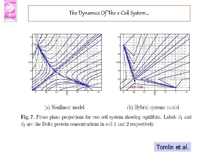 The Dynamics Of The 2 -Cell System… Tomlin et al. 