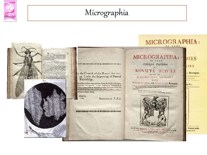 Micrographia 