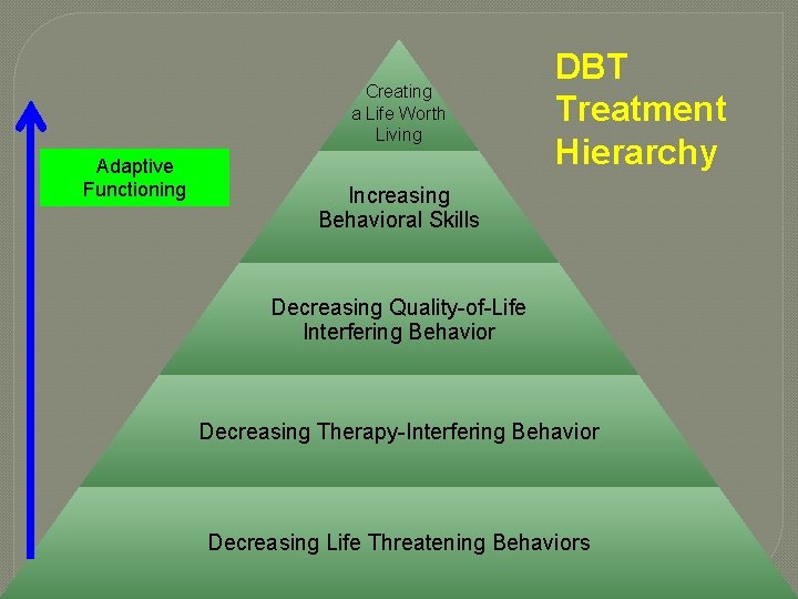 Creating a Life Worth Living Adaptive Functioning DBT Treatment Hierarchy Increasing Behavioral Skills Decreasing