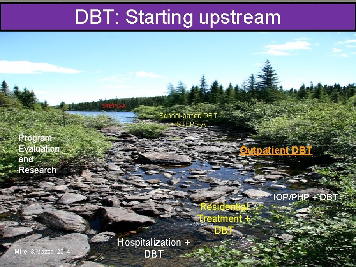 DBT: Starting upstream STEPS-A School-based DBT + STEPS-A Program Evaluation and Research Outpatient DBT