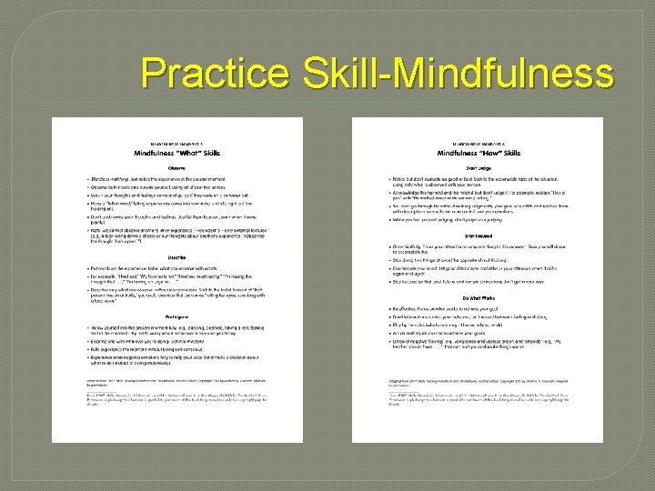 Practice Skill-Mindfulness 