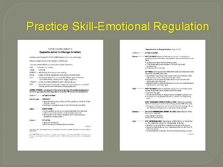 Practice Skill-Emotional Regulation 
