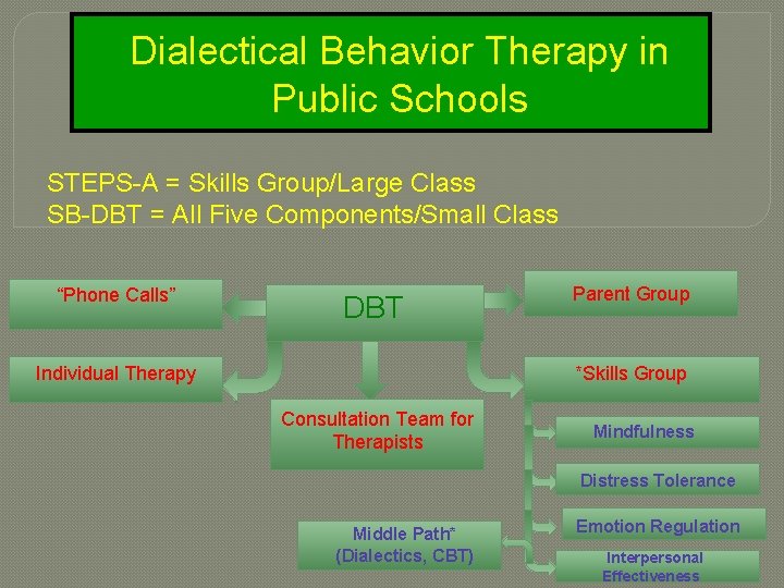 Dialectical Behavior Therapy in Public Schools STEPS-A = Skills Group/Large Class SB-DBT = All