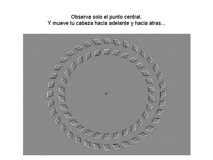 Observa solo el punto central. Y mueve tu cabeza hacia adelante y hacia atras.