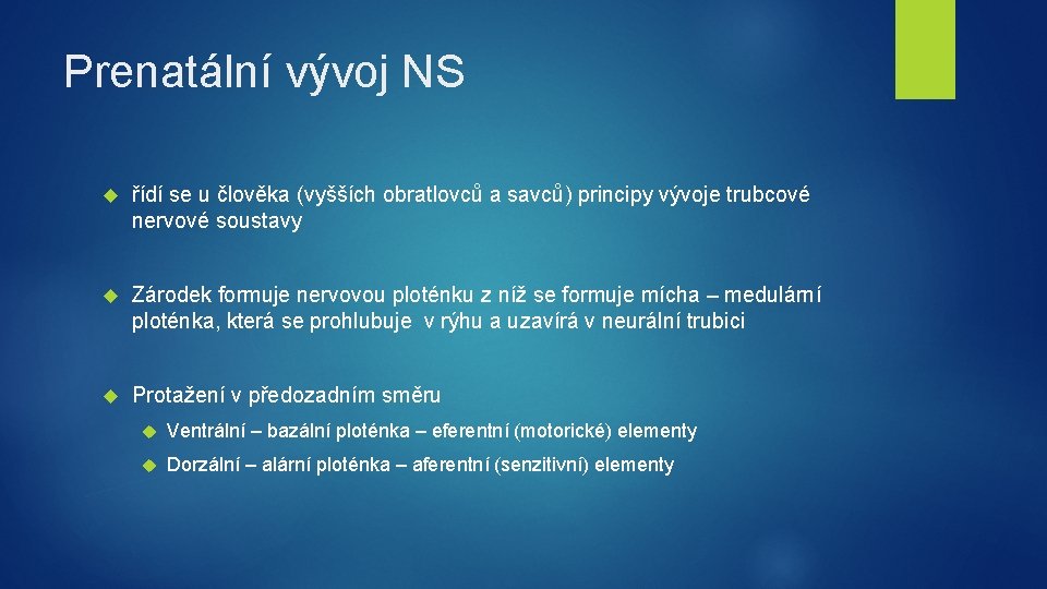 Prenatální vývoj NS řídí se u člověka (vyšších obratlovců a savců) principy vývoje trubcové