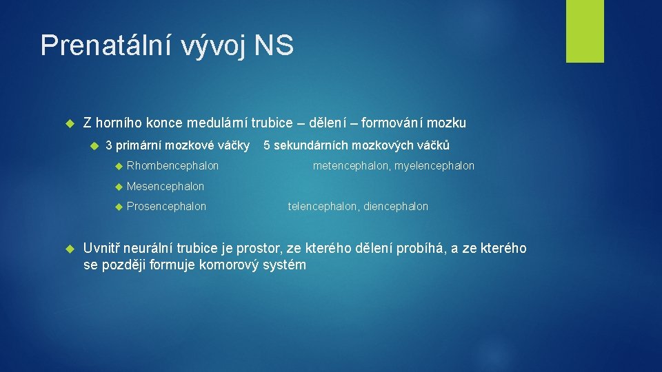 Prenatální vývoj NS Z horního konce medulární trubice – dělení – formování mozku 3