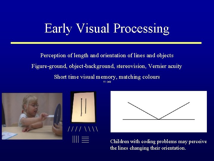 Early Visual Processing Perception of length and orientation of lines and objects Figure-ground, object-background,