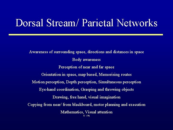 Dorsal Stream/ Parietal Networks Awareness of surrounding space, directions and distances in space Body