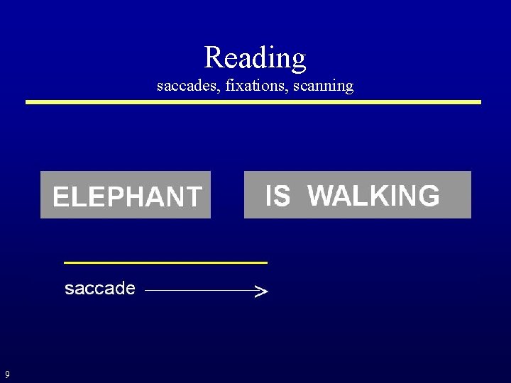 Reading saccades, fixations, scanning 9 