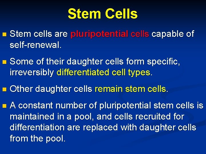 Stem Cells n Stem cells are pluripotential cells capable of self-renewal. n Some of