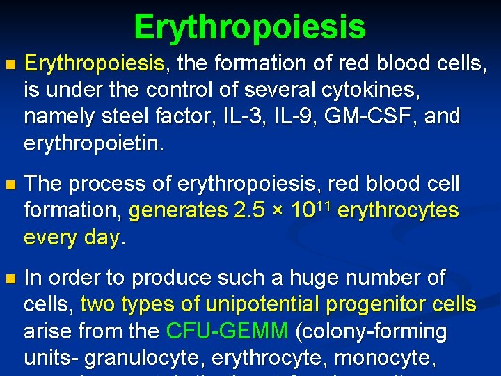 Erythropoiesis n Erythropoiesis, the formation of red blood cells, is under the control of