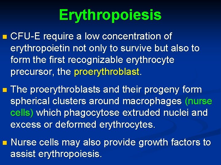 Erythropoiesis n CFU-E require a low concentration of erythropoietin not only to survive but