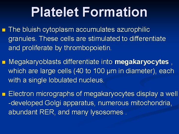 Platelet Formation n The bluish cytoplasm accumulates azurophilic granules. These cells are stimulated to