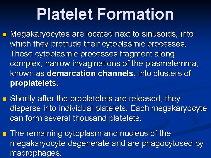 Platelet Formation n Megakaryocytes are located next to sinusoids, into which they protrude their